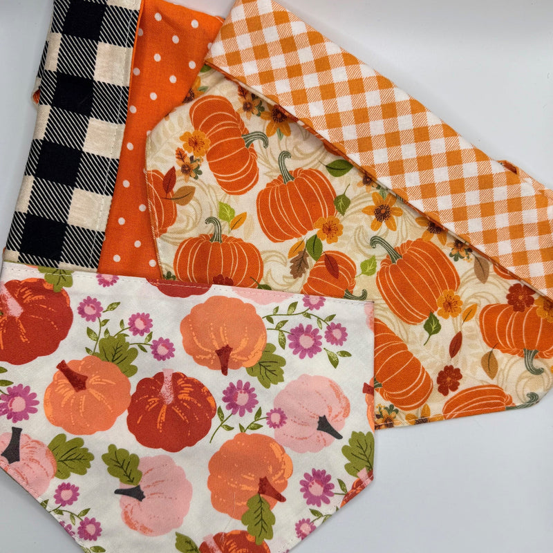 The Fall Collection