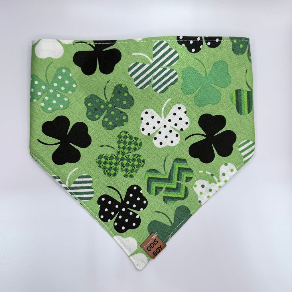 Clover Craze
