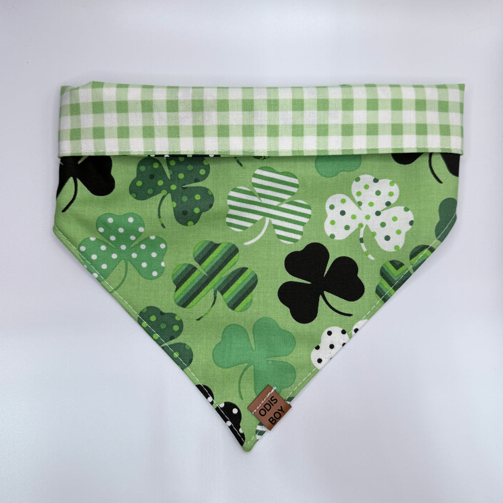 Clover Craze