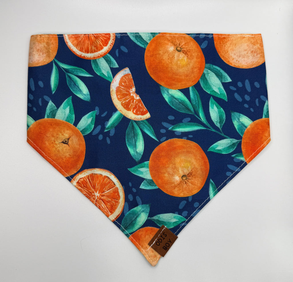 Winter Orange