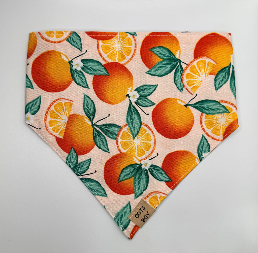 Peachy Orange