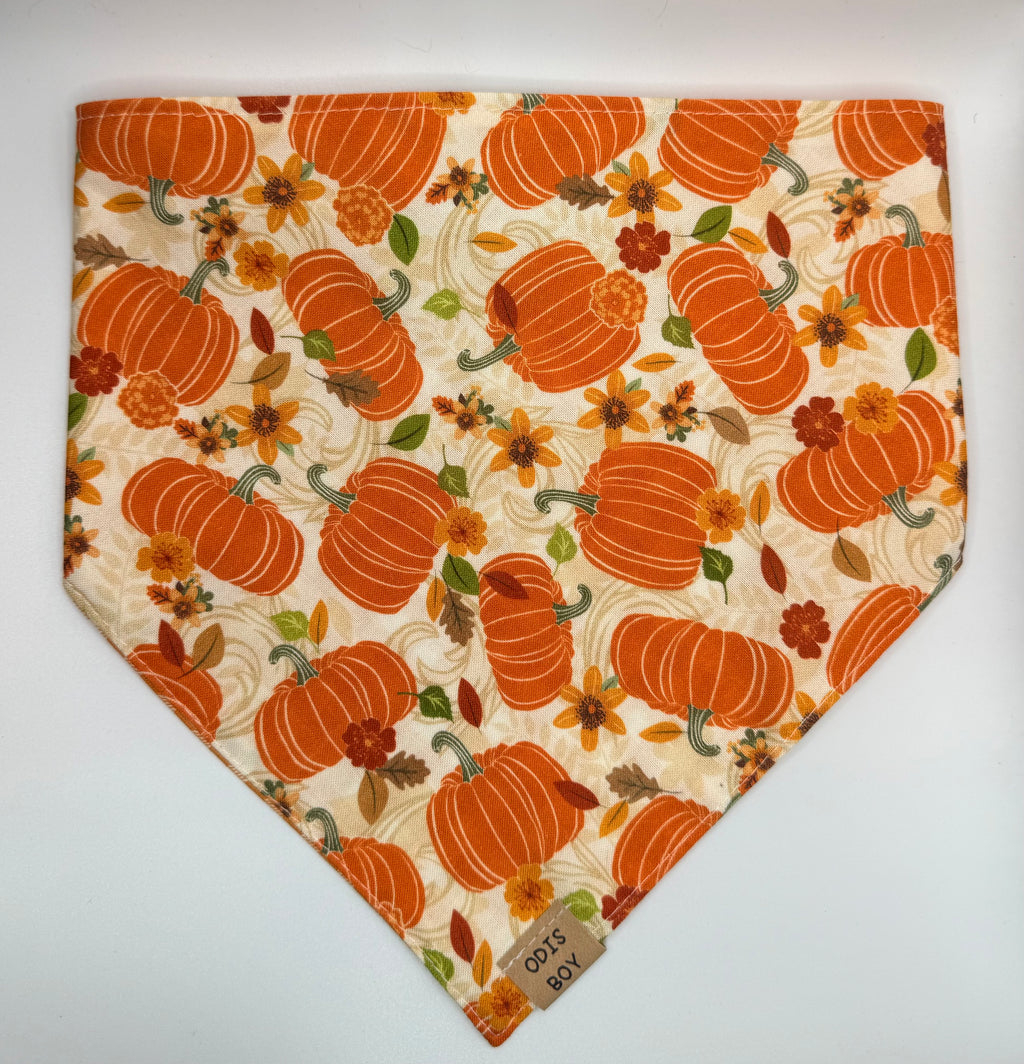 Fall Pumpkin
