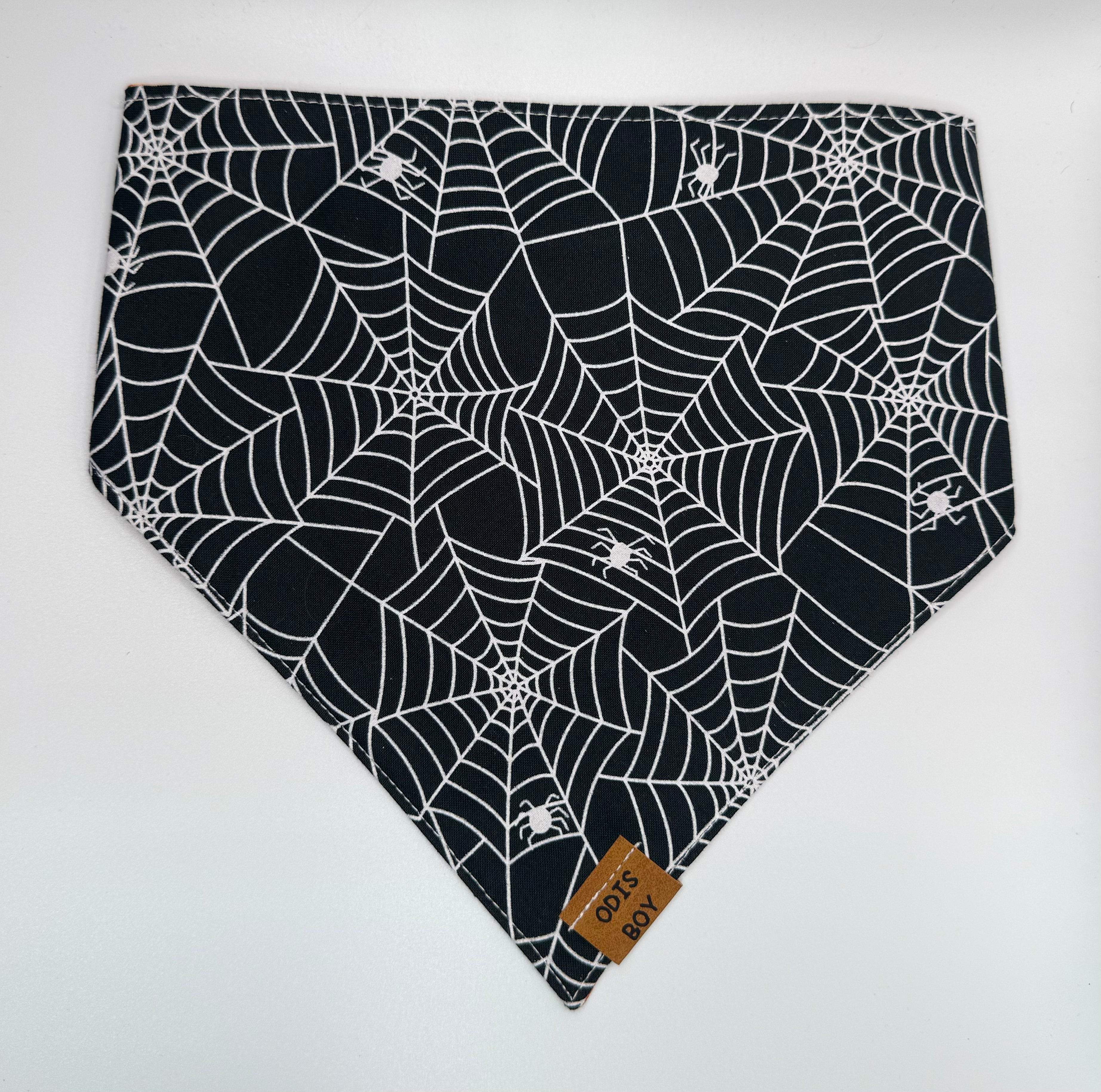 Spider Webs