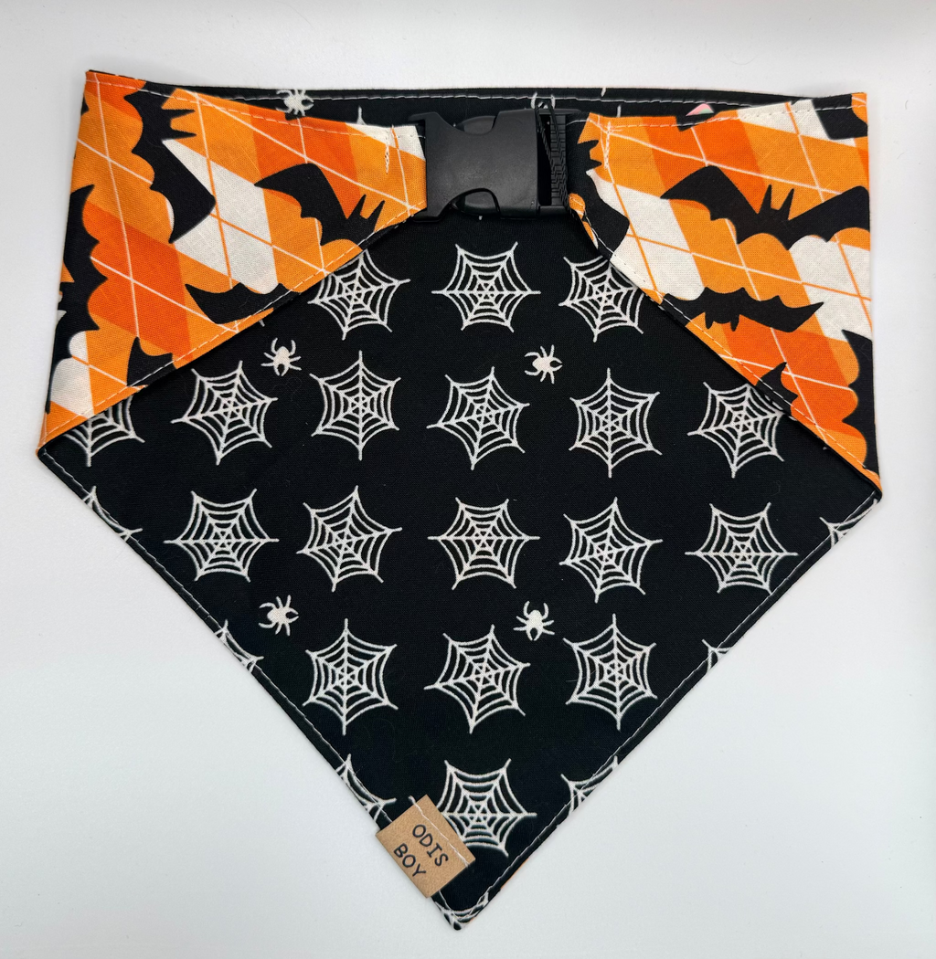 Bat Argyle