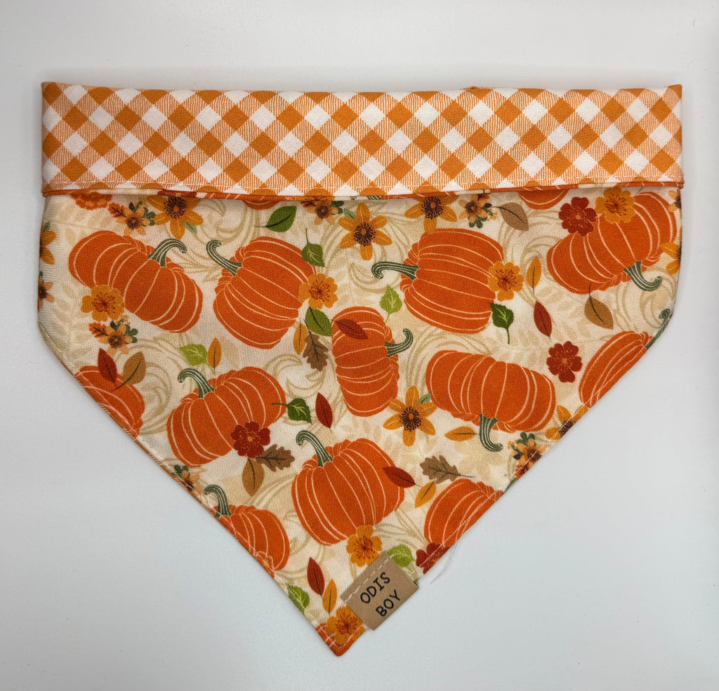 Fall Pumpkin