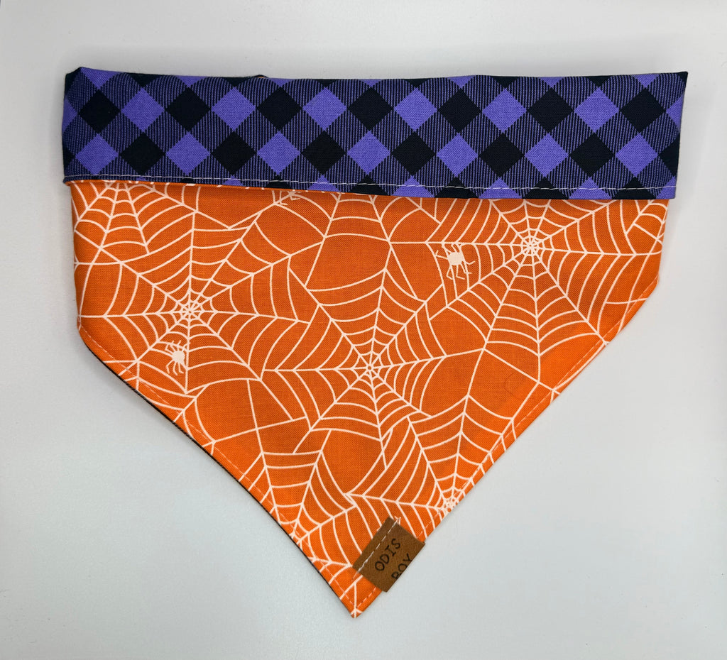 Orange Webs