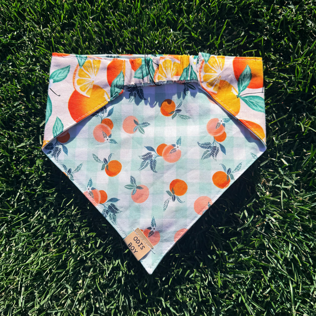 Peachy Orange