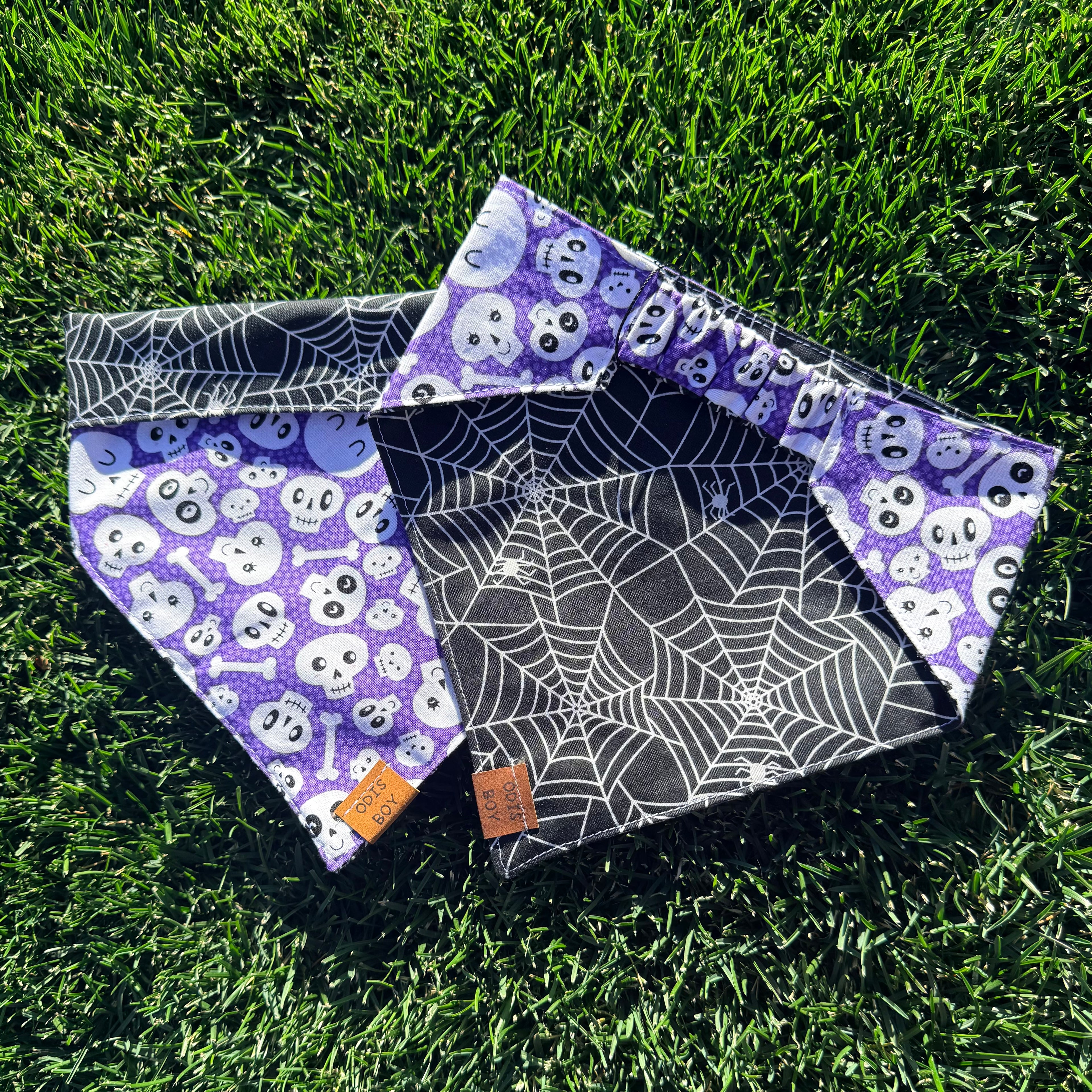 Purple Skulls