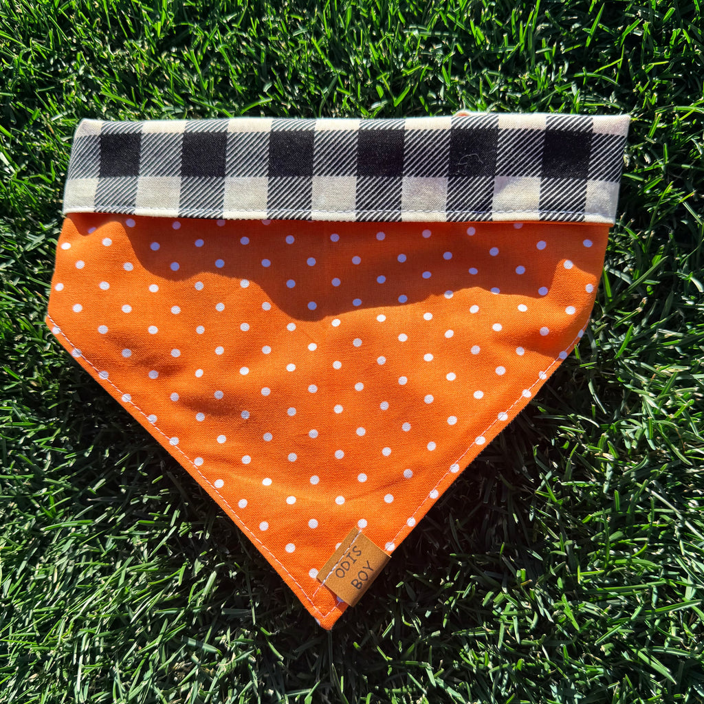 Polka Plaid