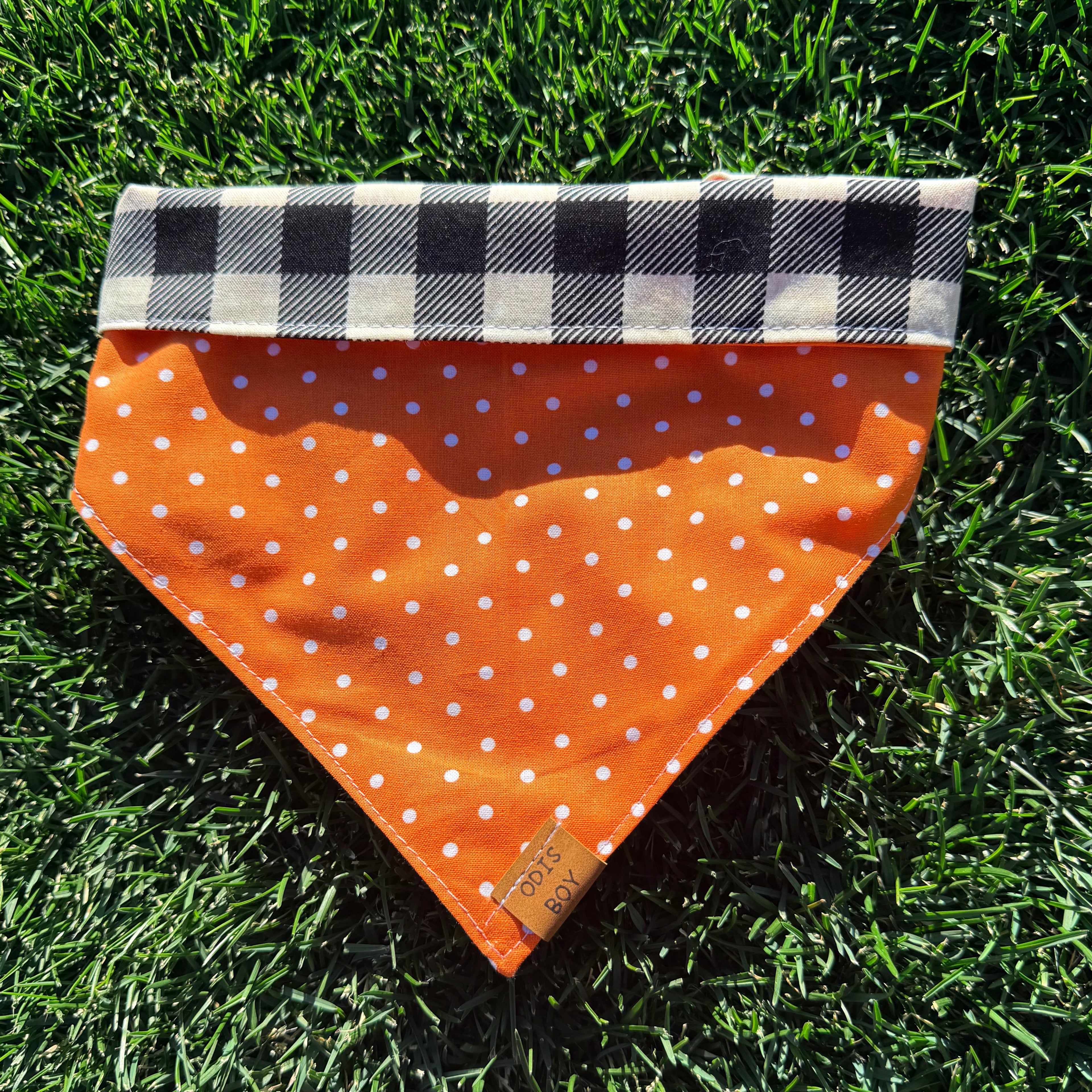Polka Plaid